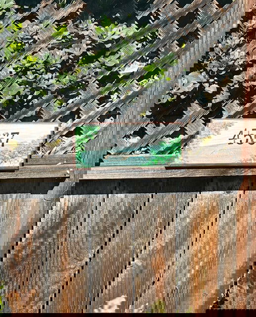 GARDEN PARADISE 410 - A Sign of the Times