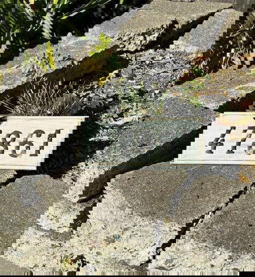 Vintage  506 - A Sign of the Times